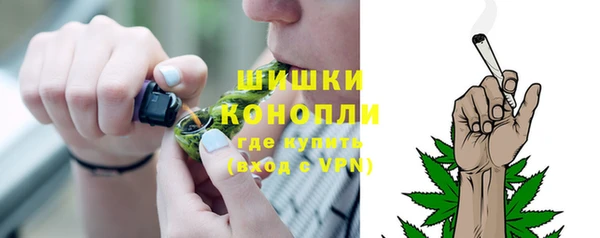 ГАЛЛЮЦИНОГЕННЫЕ ГРИБЫ Аркадак