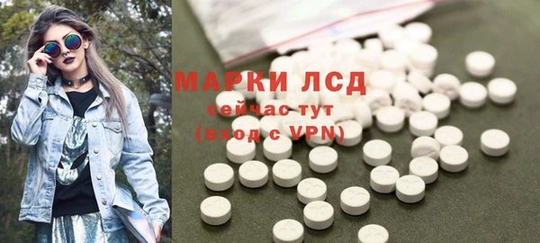 ГАЛЛЮЦИНОГЕННЫЕ ГРИБЫ Аркадак