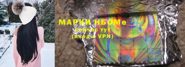 ГАЛЛЮЦИНОГЕННЫЕ ГРИБЫ Аркадак