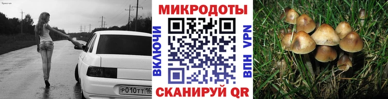 Галлюциногенные грибы GOLDEN TEACHER  где найти   Балашов 